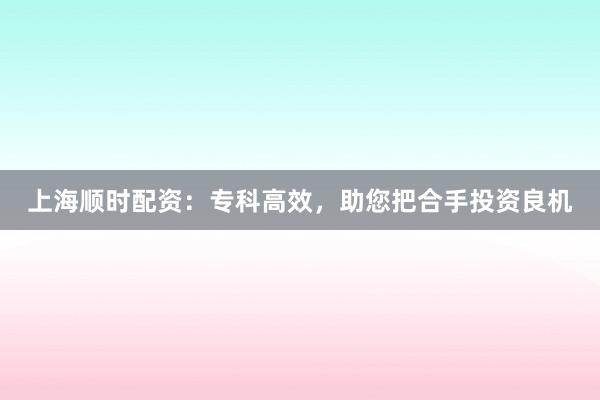 上海顺时配资:专科高效,助您把合手投资良机