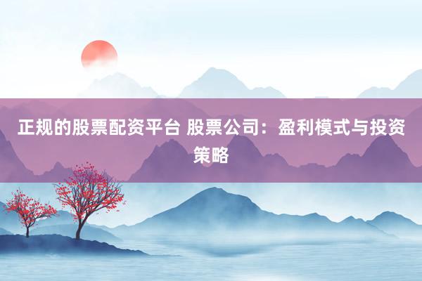 正规的股票配资平台 股票公司：盈利模式与投资策略