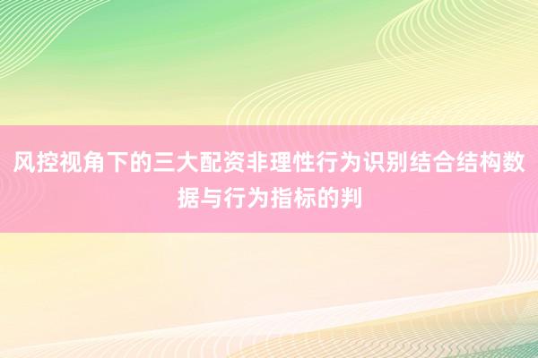 风控视角下的三大配资非理性行为识别结合结构数据与行为指标的判