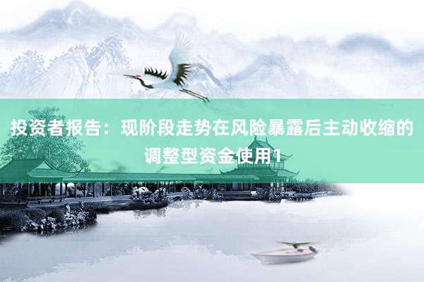 投资者报告：现阶段走势在风险暴露后主动收缩的调整型资金使用1