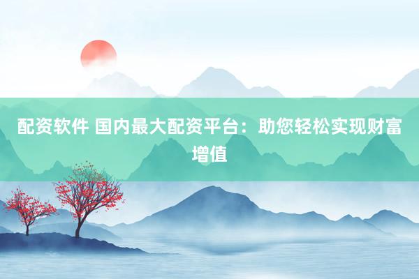 配资软件 国内最大配资平台：助您轻松实现财富增值