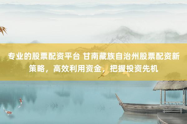 专业的股票配资平台 甘南藏族自治州股票配资新策略，高效利用资金，把握投资先机