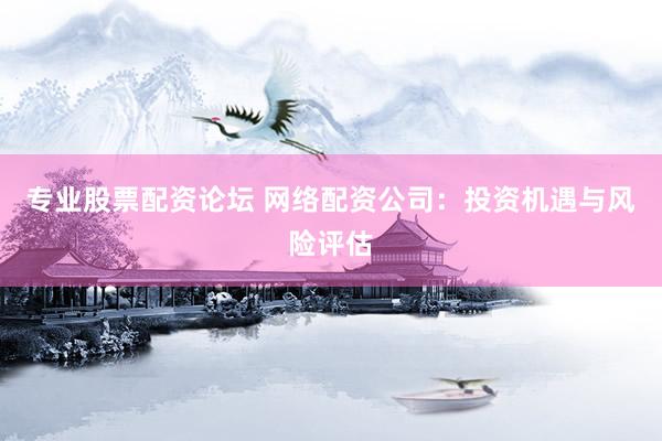 专业股票配资论坛 网络配资公司：投资机遇与风险评估