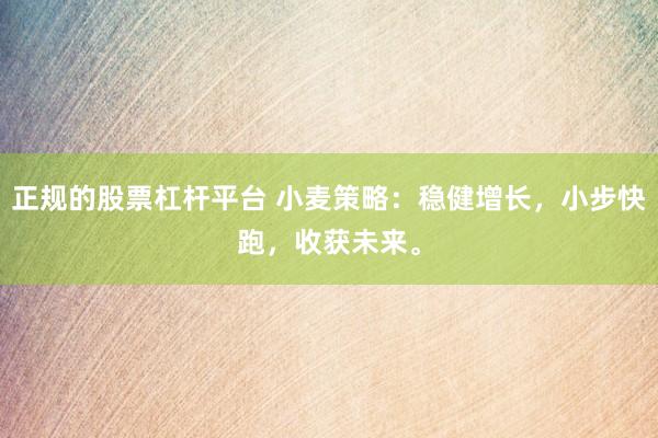 正规的股票杠杆平台 小麦策略：稳健增长，小步快跑，收获未来。