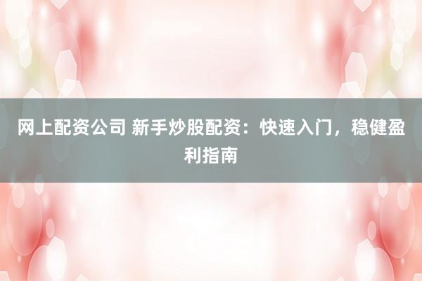 网上配资公司 新手炒股配资:快速入门,稳健盈利指南